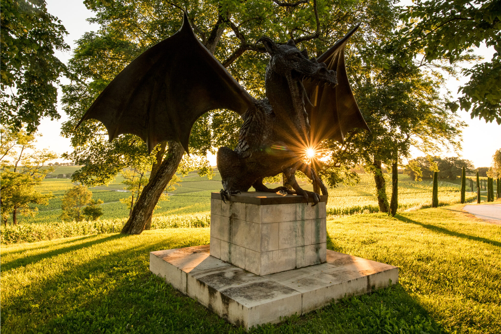 Honoring Le Dragon de Quintus in 2024 - Château Quintus